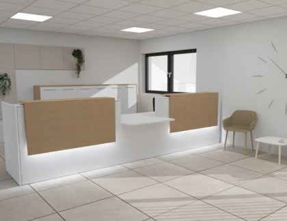 banque d'accueil conforme PMR