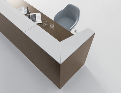 détail comptoir d'accueil professionnel