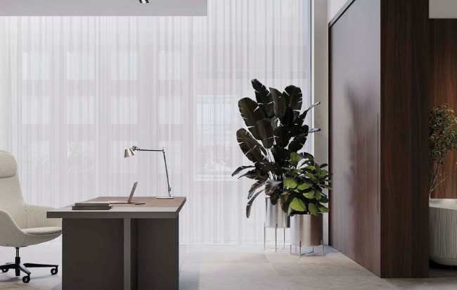 plantes pour le bureau